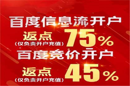 百度竞价广告运营成功案例：如何制定预算